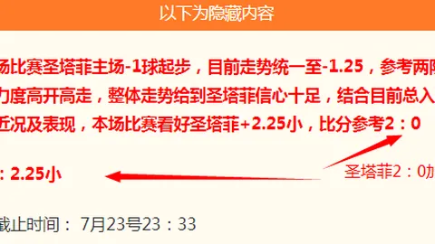 2026最新动态：王大雷与泰山队传闻，媒体人解读球员去留之谜